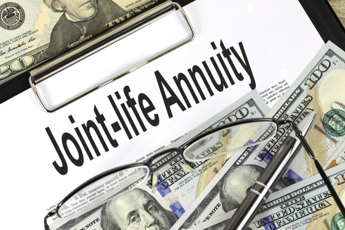 Annuity Calculator Joint Life 2024