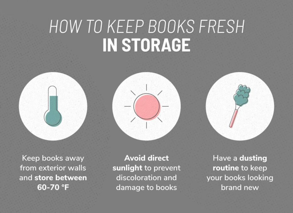 How To Store Books In Apartment 2024