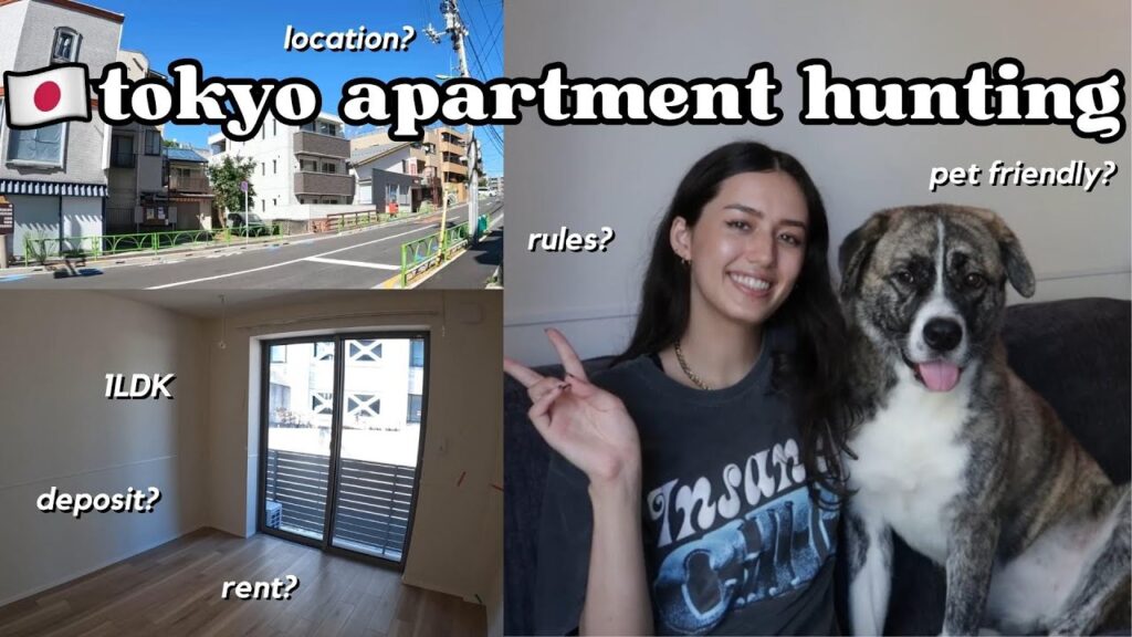 Apartment For Rent Near Me Dog Friendly 2024