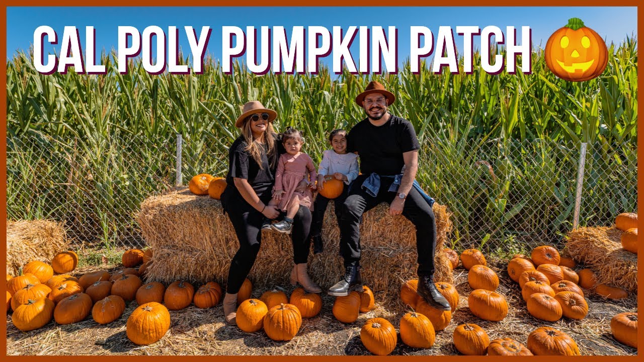 Cal Poly Pumpkin Patch October 2024 haunted attractions