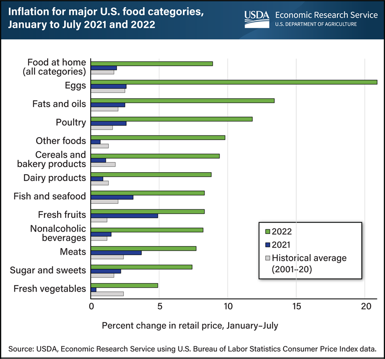 CPI and Food Security in November 2024