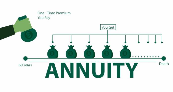 Joint Immediate Annuity