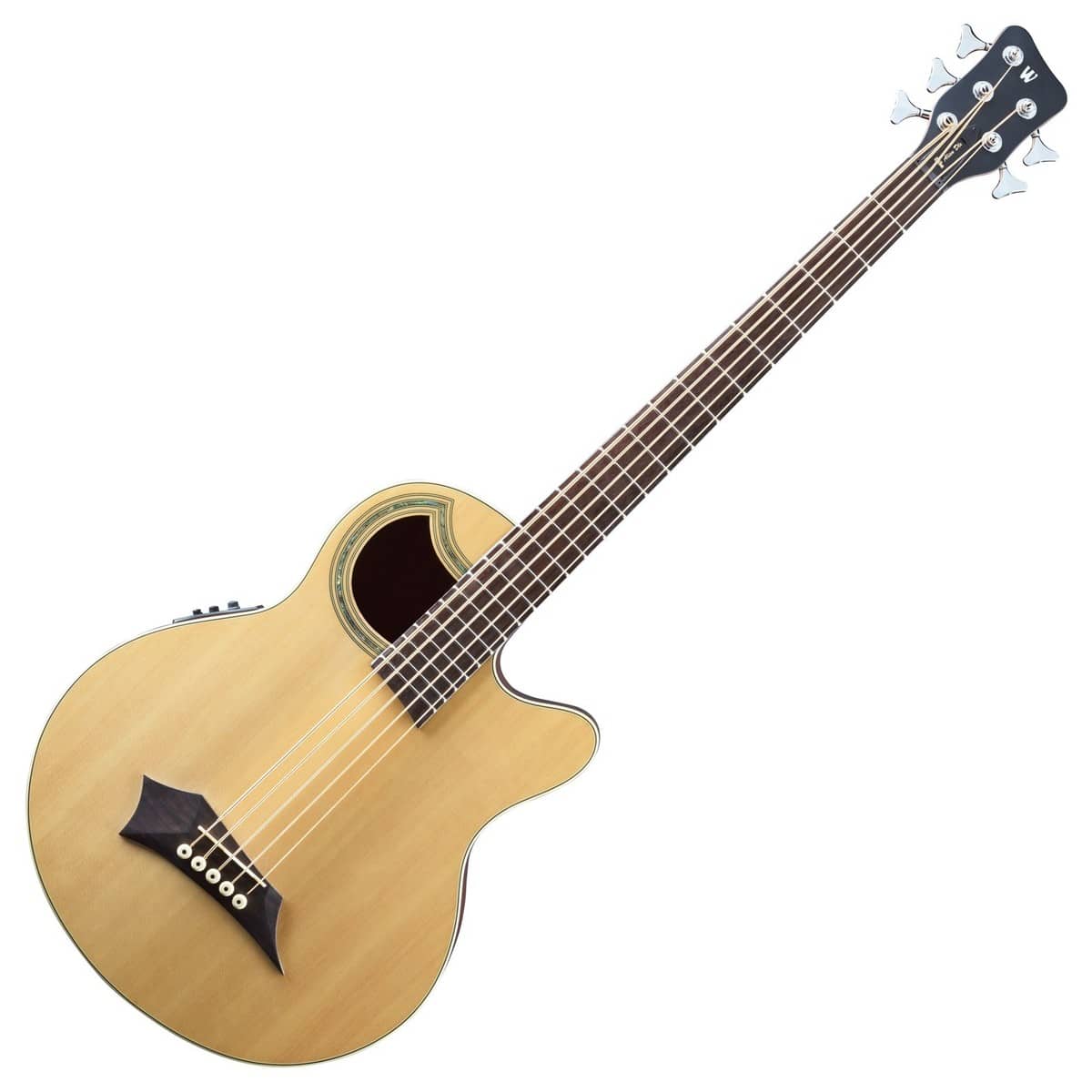 Acoustic Bass 5 String 2024