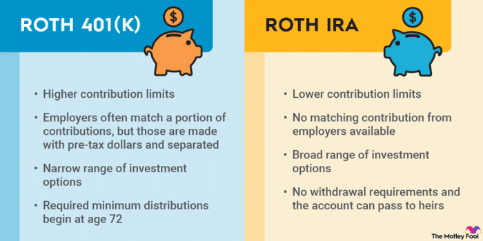 Roth 401 K Variable Annuity 2024