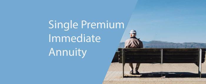 Premium Immediate Annuity