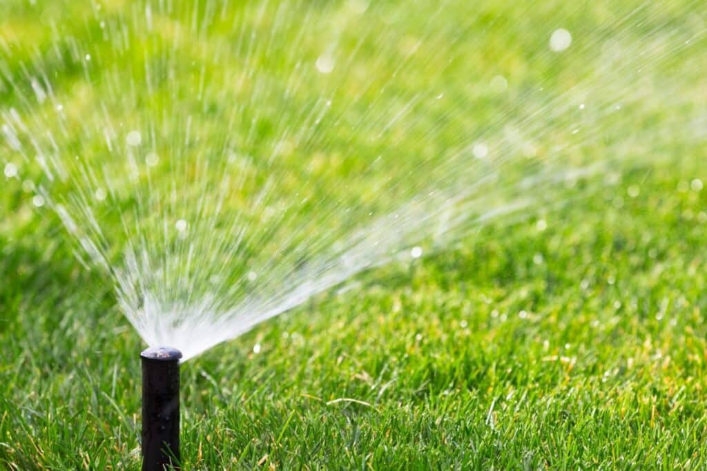 Lawn Irrigation Companies Near Me