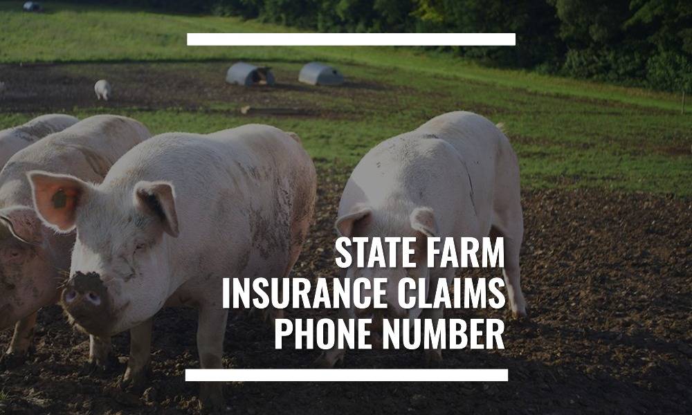 What is the Phone Number for Chase Trip Delay Insurance Claims?