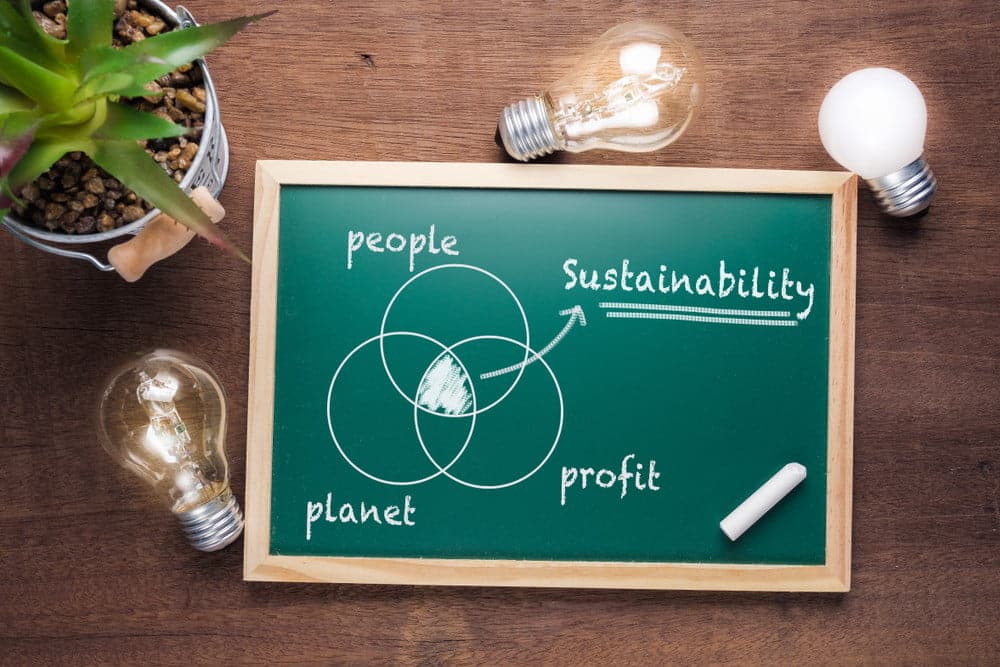 The Future of Sustainable Business: Trends and Predictions