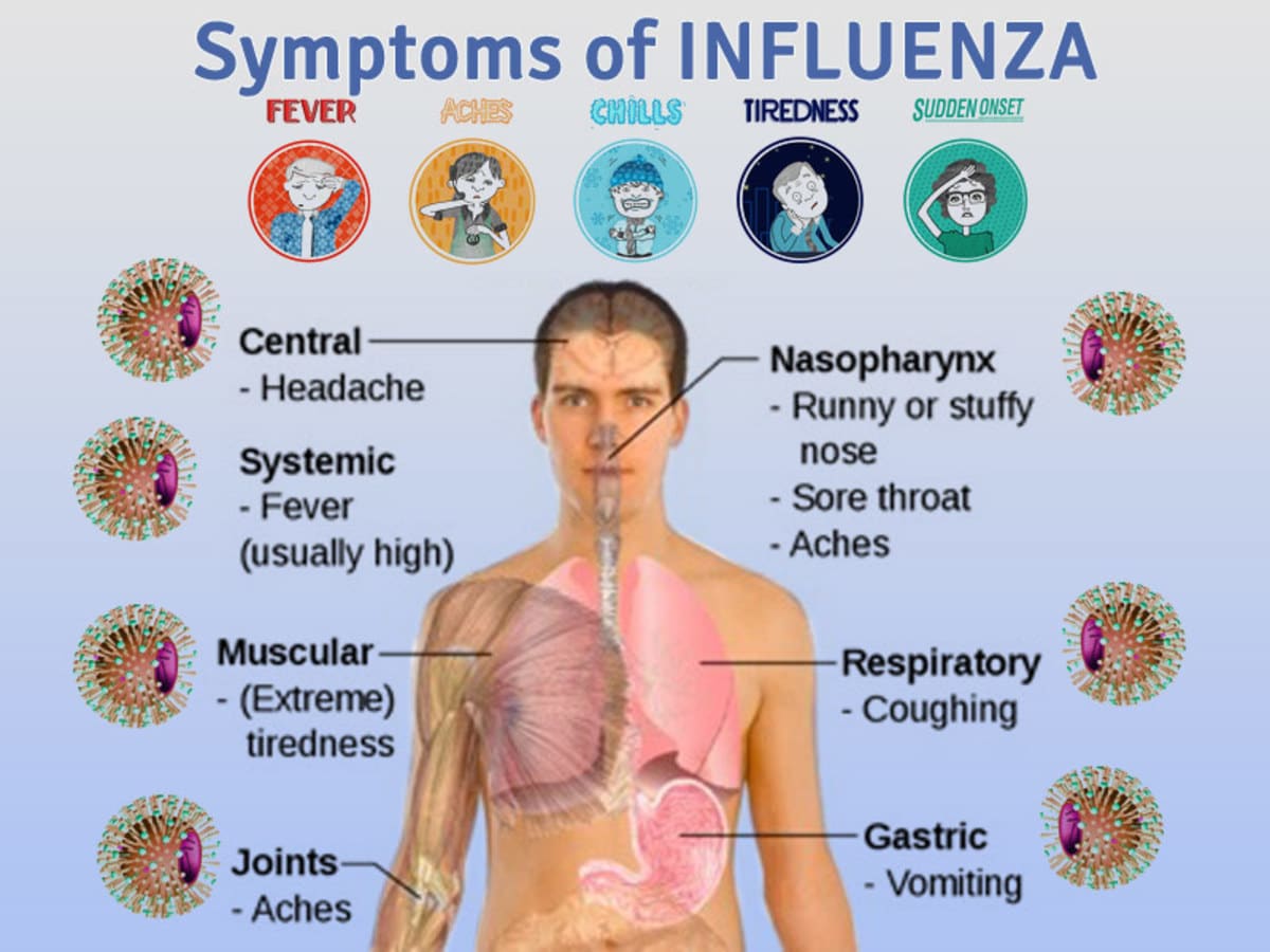 Flu symptoms October 2024 in adults