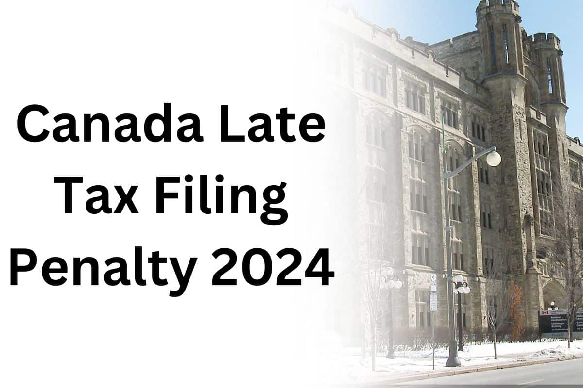 Tax penalties for missing the October 2024 deadline