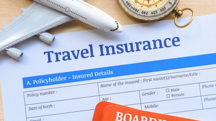 Instant travel insurance for trip cancellation in October 2024