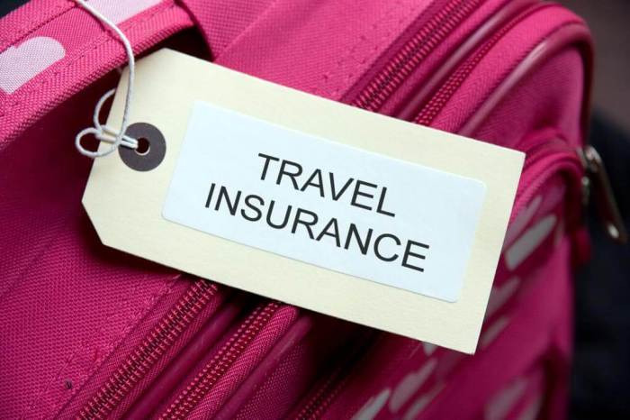 Best international travel insurance for backpacking in 2024