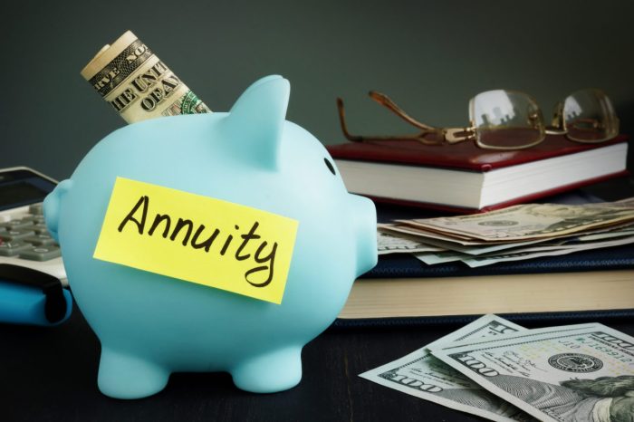 Immediate Annuity Quotes Vanguard