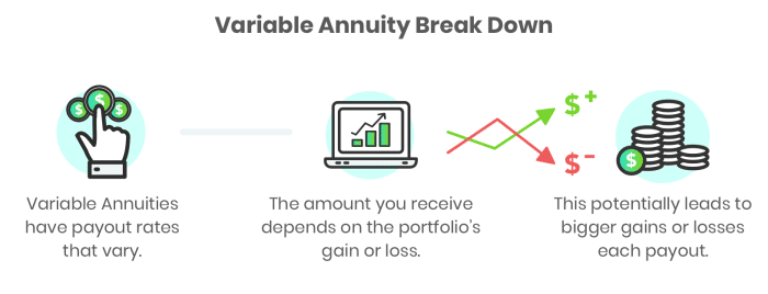 Variable Annuities Have 2024